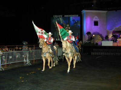 San Antonio Palomino Patrol and the Rotary's Parade of Flags
